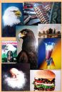 air brush paint 11